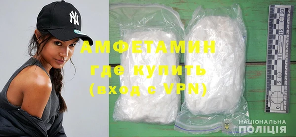 индика Дмитриев