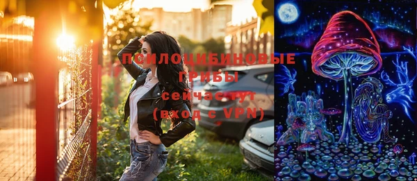 гидропоника Гусь-Хрустальный