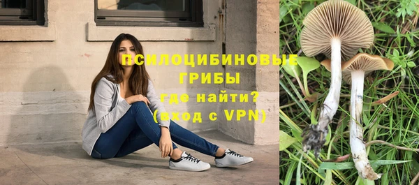 спайс Дмитровск