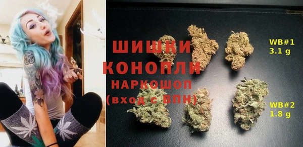 винт Гусиноозёрск