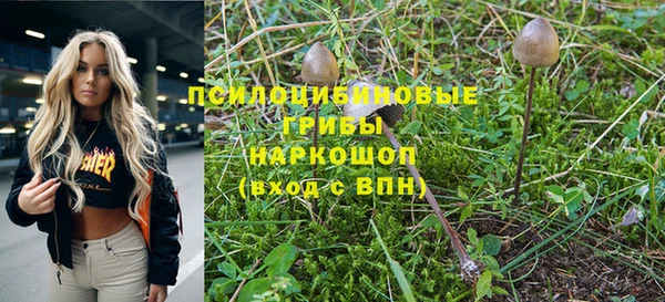 винт Гусиноозёрск