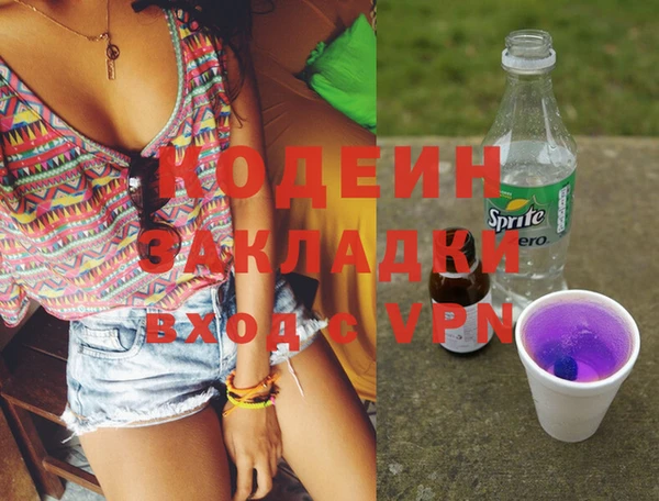 индика Дмитриев