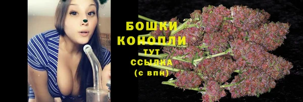 винт Гусиноозёрск