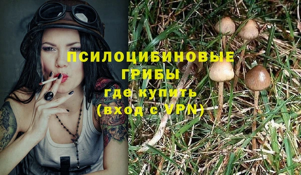 ГАЛЛЮЦИНОГЕННЫЕ ГРИБЫ Дмитров