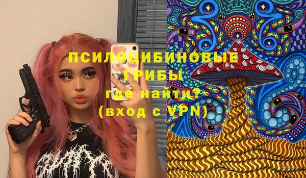 индика Дмитриев
